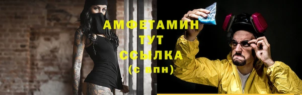 индика Волоколамск