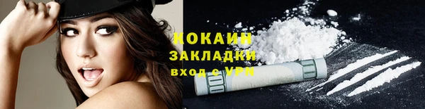 индика Волоколамск
