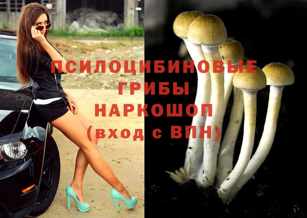 кокс Волосово
