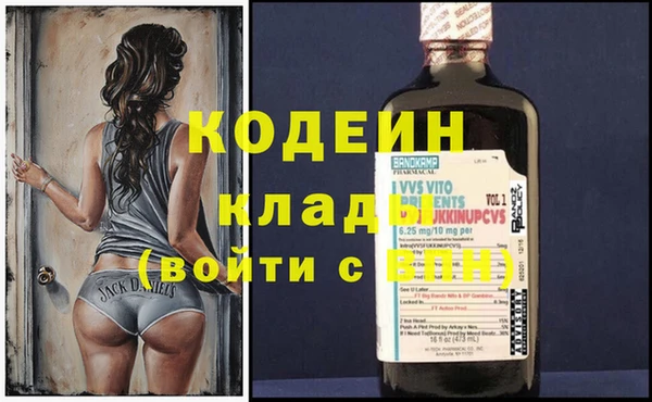 индика Волоколамск