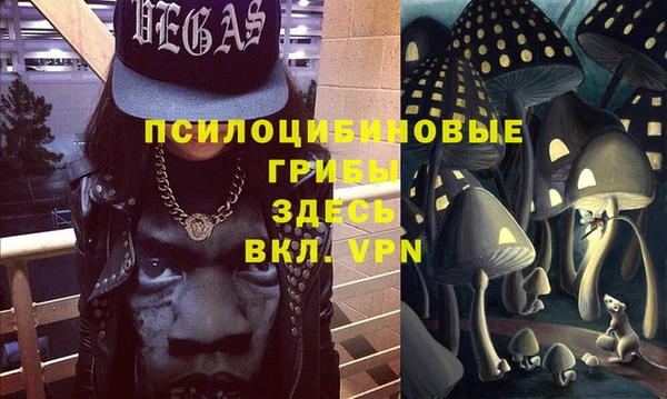 гидра Грязи