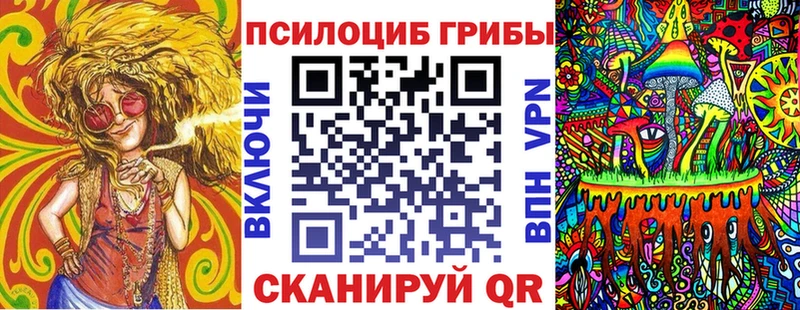 купить  цена  Гагарин  Псилоцибиновые грибы MAGIC MUSHROOMS 